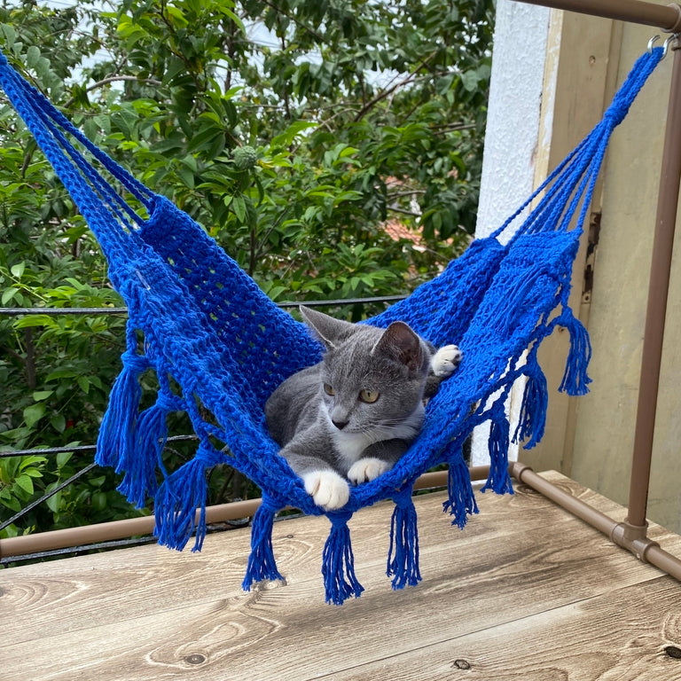 Redinha Azul Royal