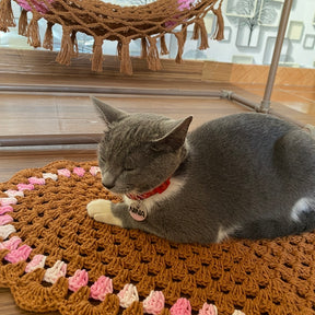 Kit Fofurinha Caramelo